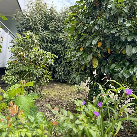 Apartament Immostay D# - Modern & Wifi Brema