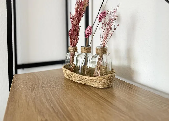 Immostay D# - Modern & Wifi